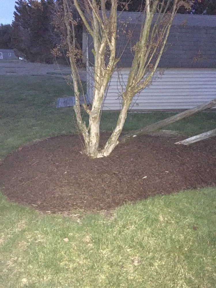 Custom landscape design for year-round maintenance in Salisbury, MD by The Right Cut Lawn Care