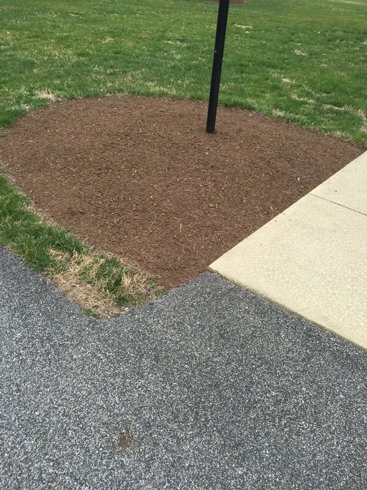 Trusted landscaping services in Salisbury, MD - The Right Cut Lawn Care
