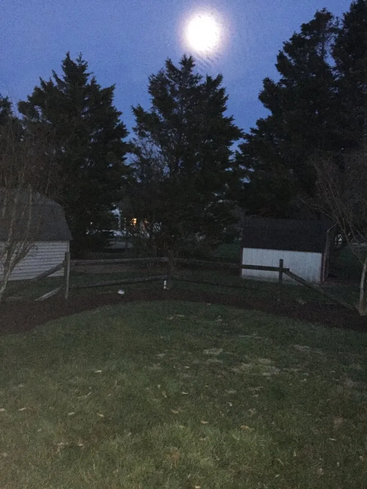 Top-rated yard cleanup service for residential properties in Salisbury, MD by The Right Cut Lawn Care