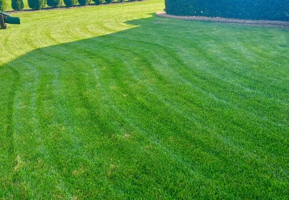 The Right Cut Lawn Specialists
