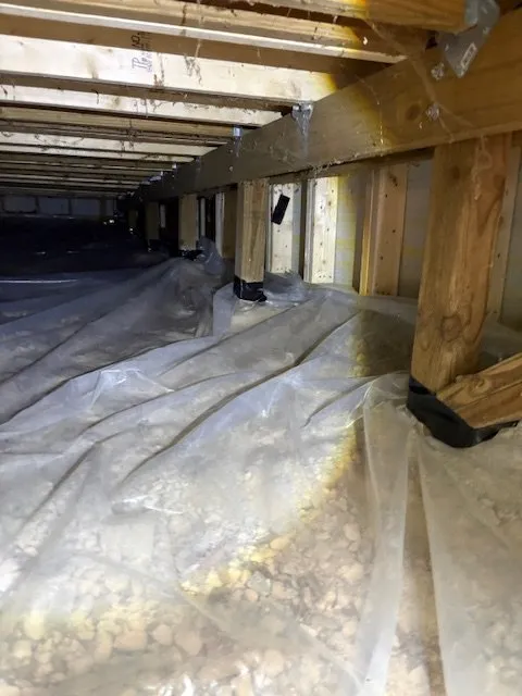 Top-rated landscape design for beautiful yards across Morrisville, NC - The Right Guy