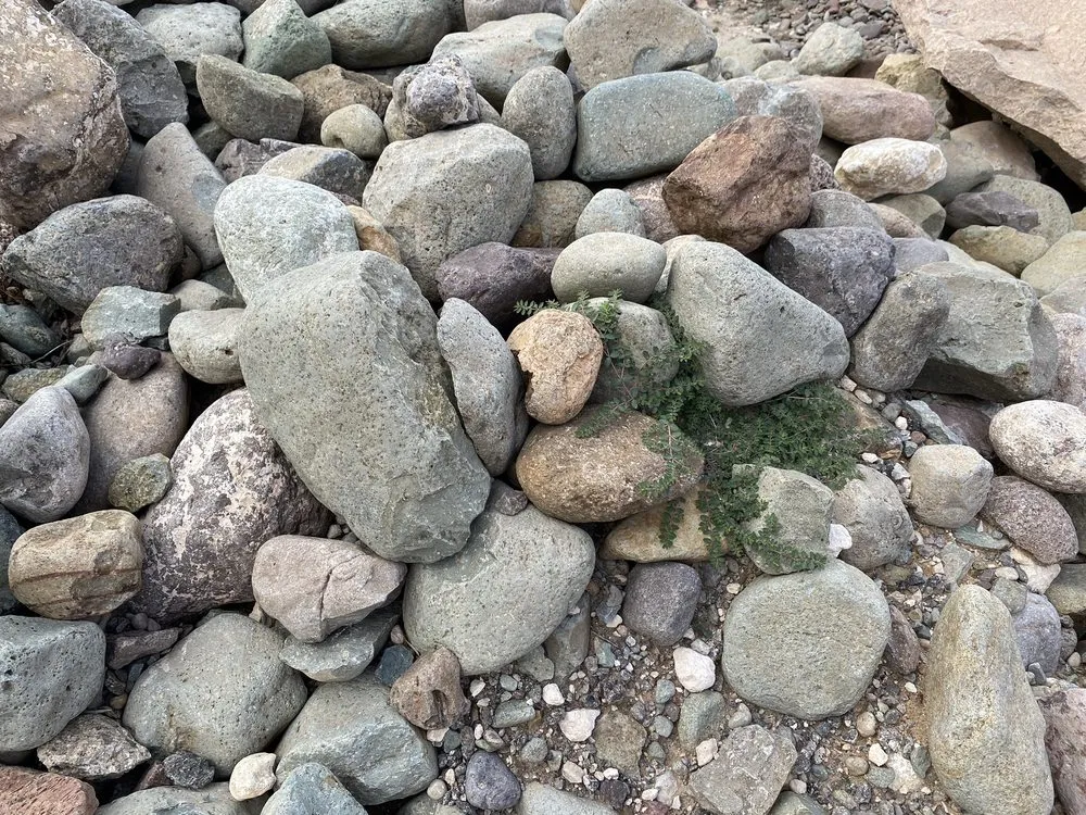 Custom landscape design for year-round maintenance in Hobbs, NM by The Rock Center