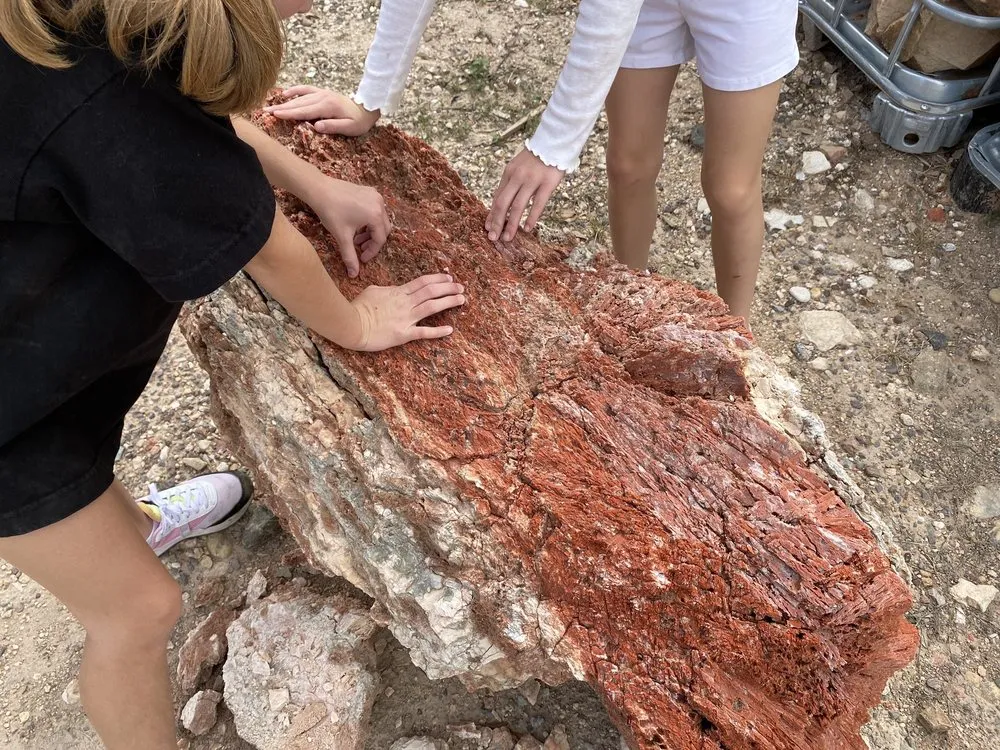 Expert landscape design in Hobbs, NM by The Rock Center