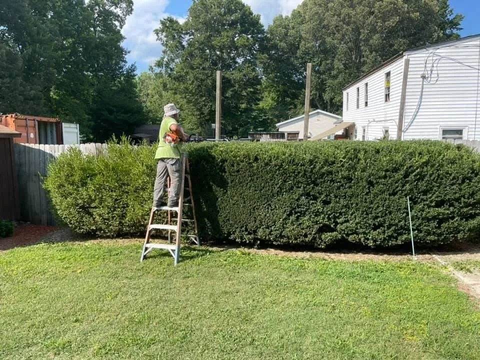 Custom residential landscaping experts serving Newport News, VA - The Rock Lawn Care