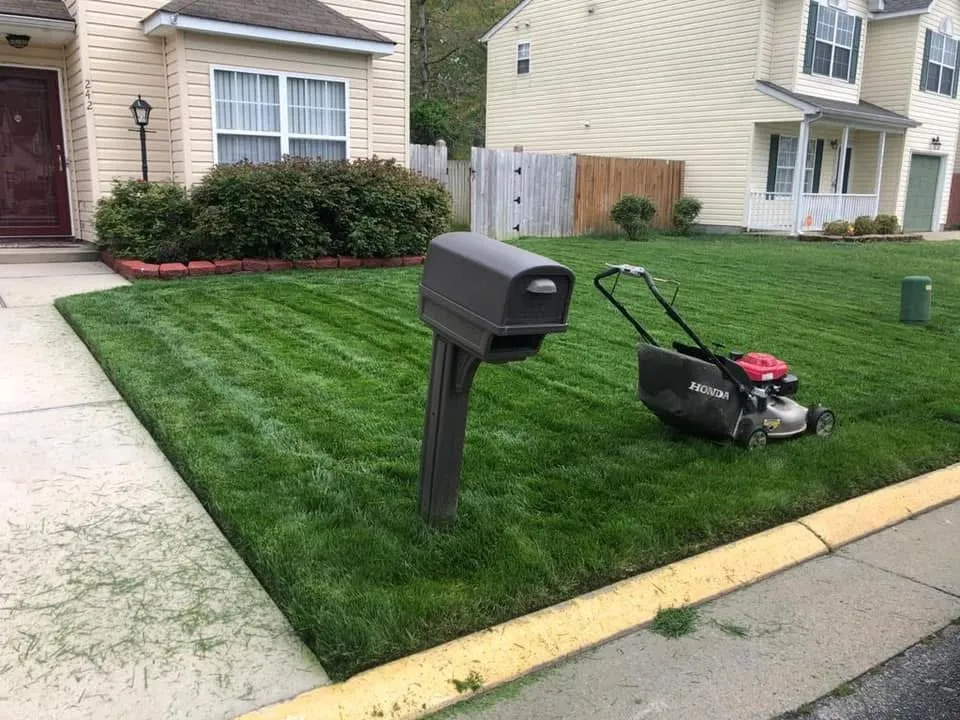 Expert yard cleanup service for year-round maintenance across Newport News, VA - The Rock Lawn Care