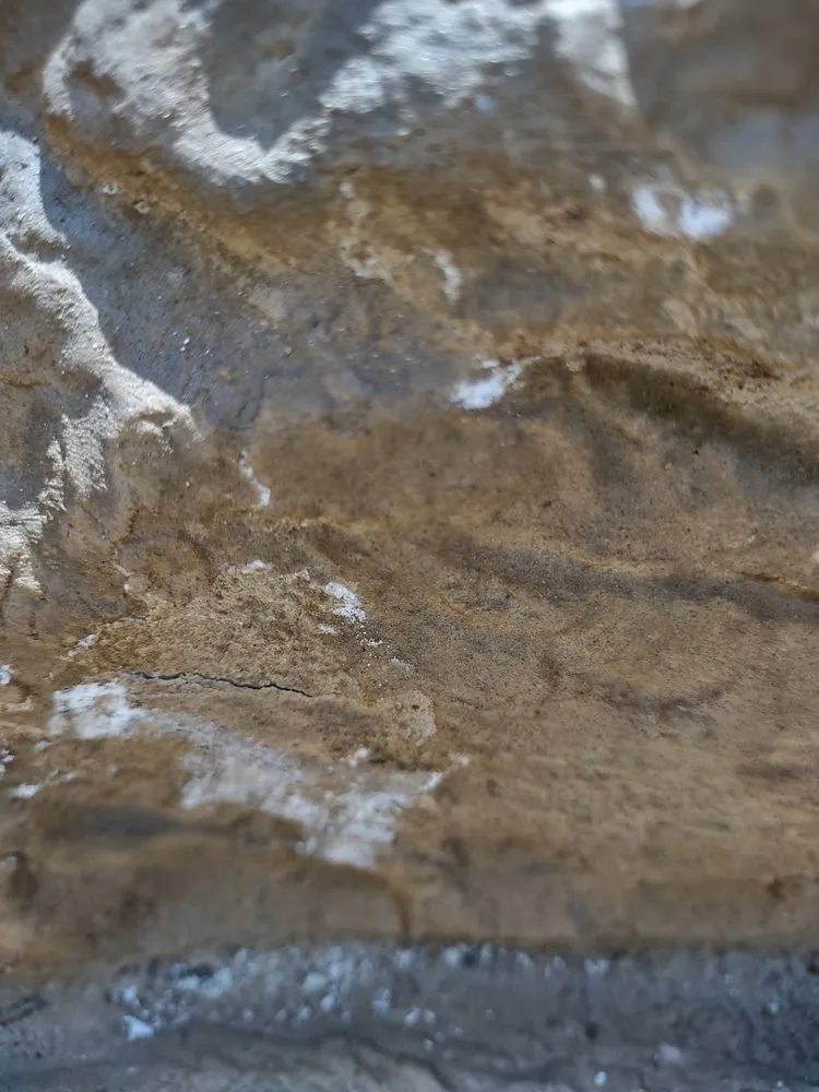 Expert yard maintenance in Santa Clarita, CA - The Rock Market