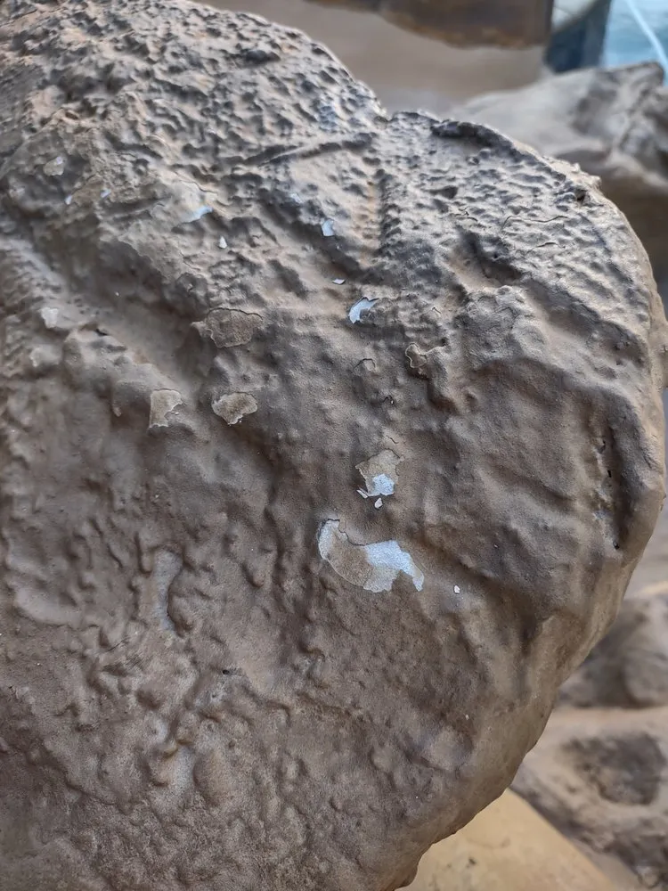 Affordable yard maintenance in Santa Clarita, CA - The Rock Market