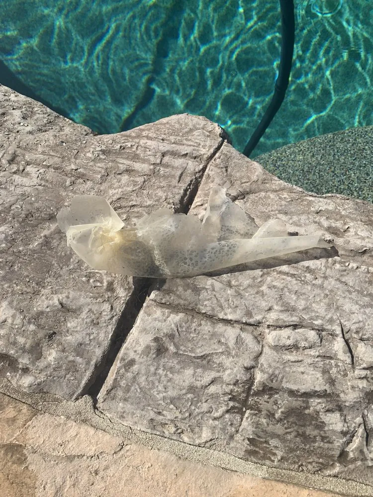 Top-rated lawn mowing service for homes across Santa Clarita, CA - The Rock Market