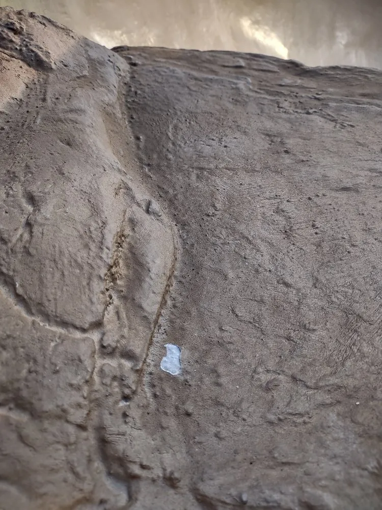 Professional yard maintenance experts serving Santa Clarita, CA - The Rock Market