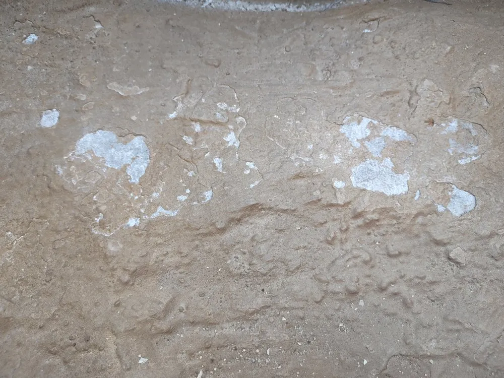 Trusted lawn care service in Santa Clarita, CA by The Rock Market