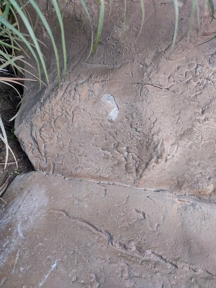 Expert yard maintenance experts serving Santa Clarita, CA - The Rock Market