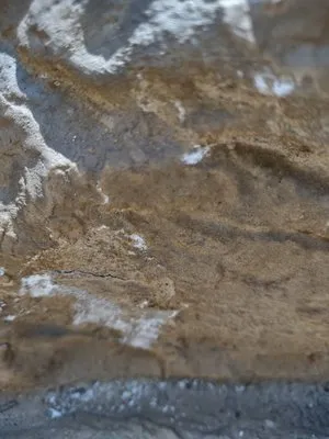 The Rock Market Logo