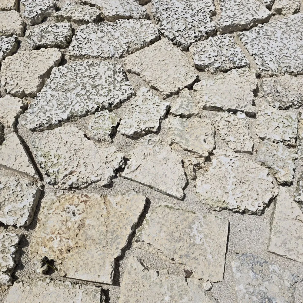 Professional residential landscaping in Miami, FL - The Rock Yard