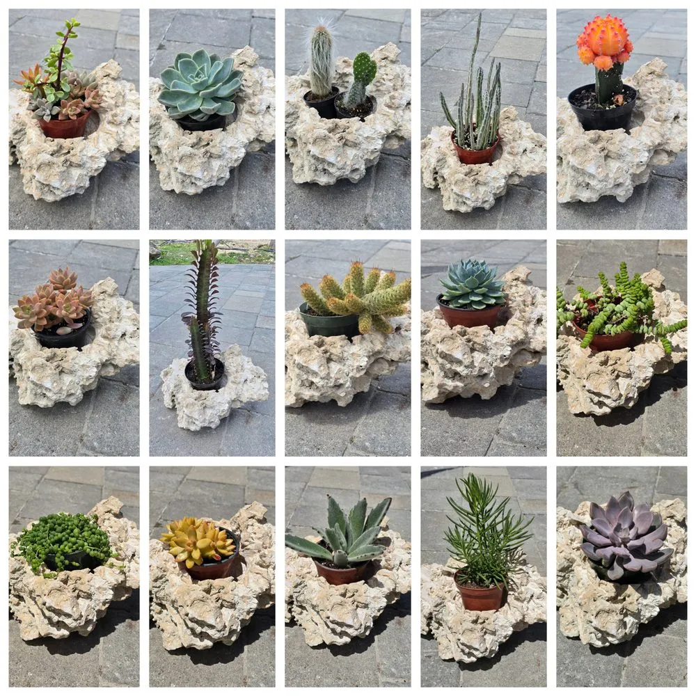 Custom landscape design in Miami, FL by The Rock Yard