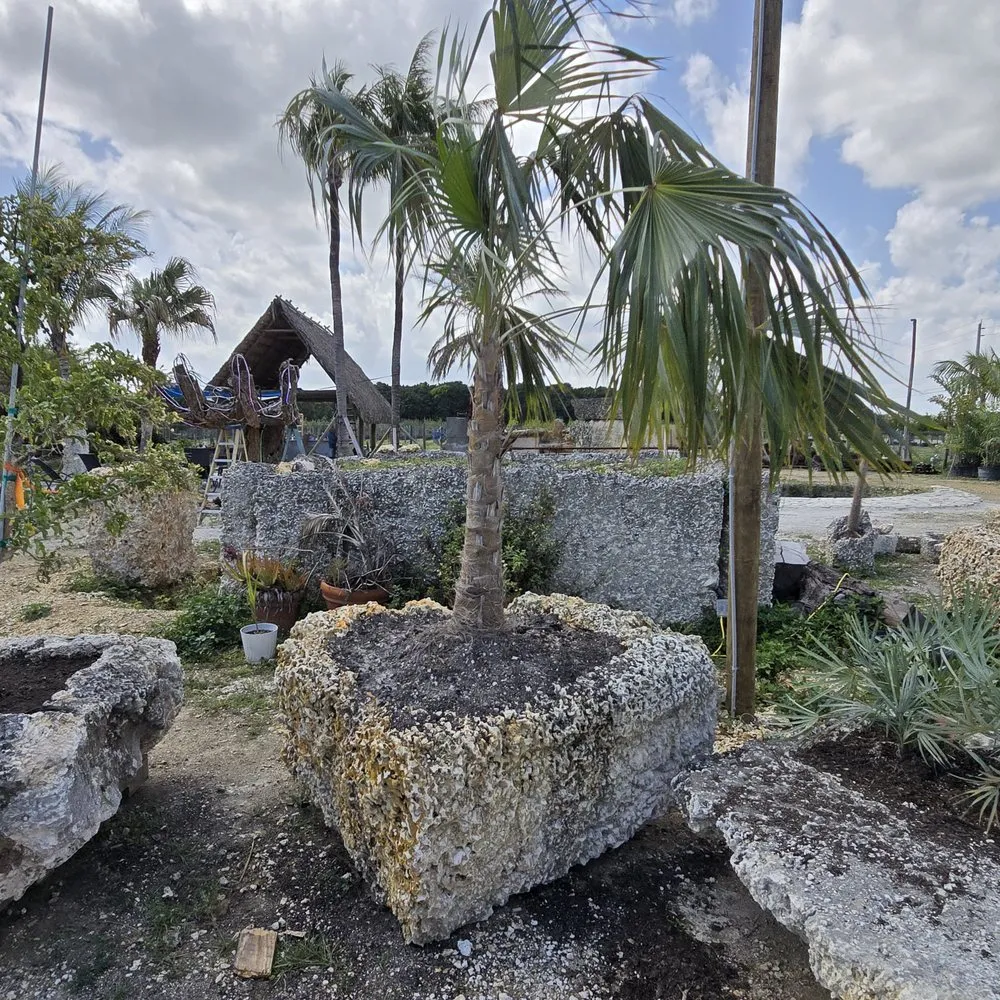 Reliable landscape design for outdoor upgrades in Miami, FL by The Rock Yard