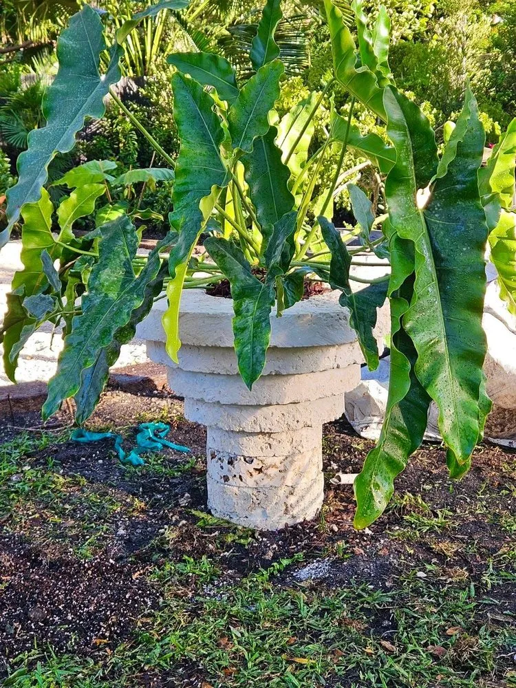 Affordable yard maintenance experts serving Miami, FL - The Rock Yard