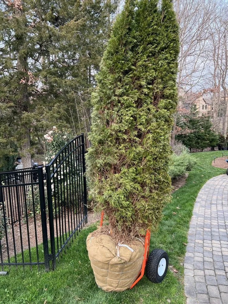 Trusted yard cleanup service near you across Waxhaw, NC - The Rockford Group