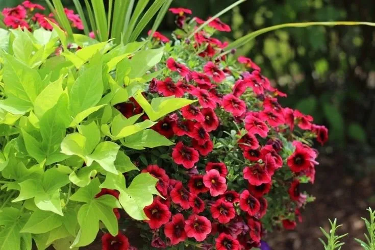 Professional lawn mowing service near you across Waxhaw, NC - The Rockford Group