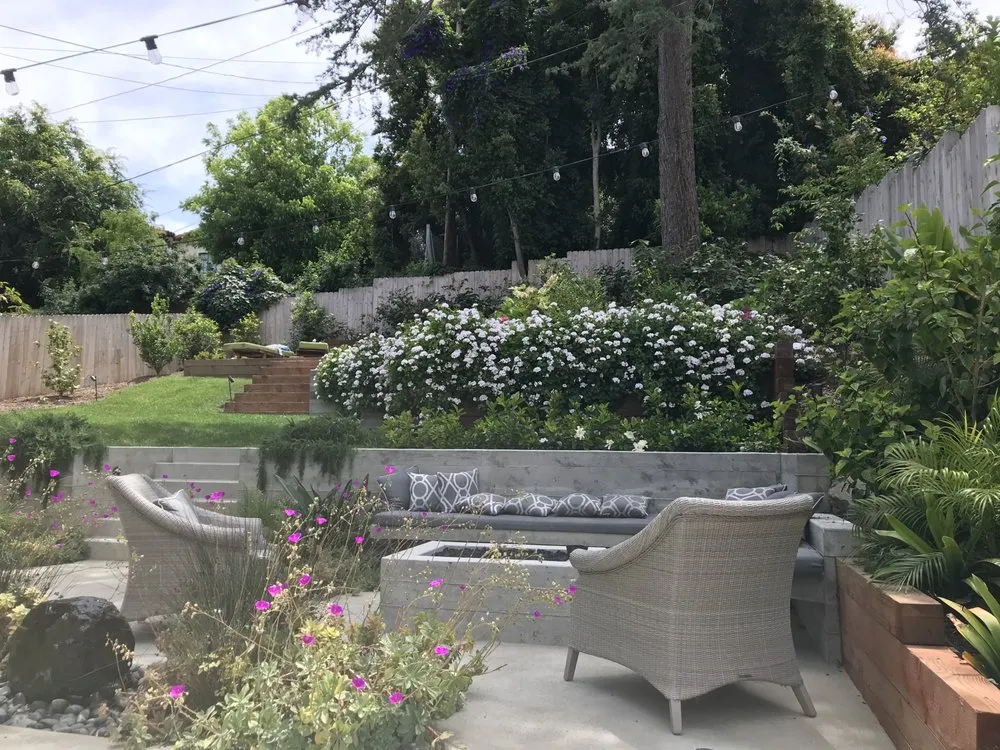 Expert yard cleanup service experts serving Santa Monica, CA - The Rockhound Group