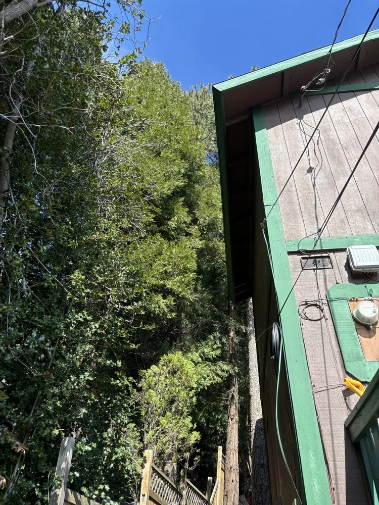 Reliable lawn mowing service in Running Springs, CA - The Rose-Way