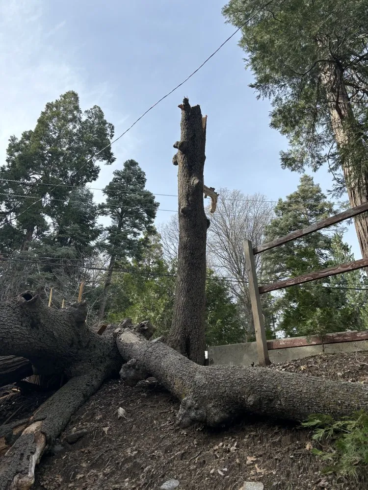 Reliable lawn care service in Running Springs, CA - The Rose-Way