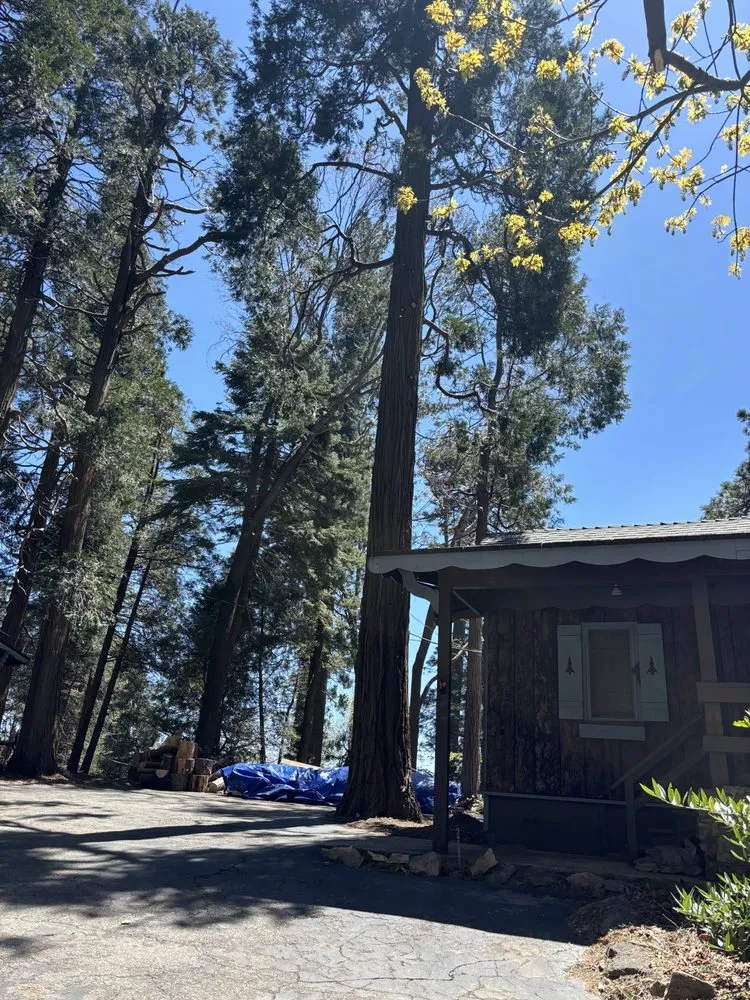 Trusted landscaping services in Running Springs, CA by The Rose-Way