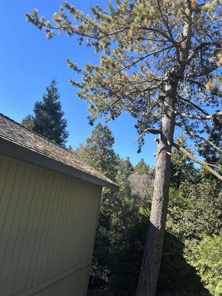 Custom residential landscaping for beautiful yards across Running Springs, CA - The Rose-Way