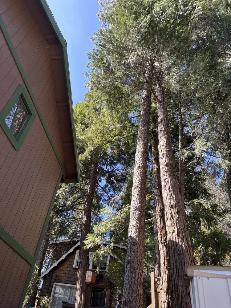 Local outdoor landscaping for residential properties in Running Springs, CA by The Rose-Way