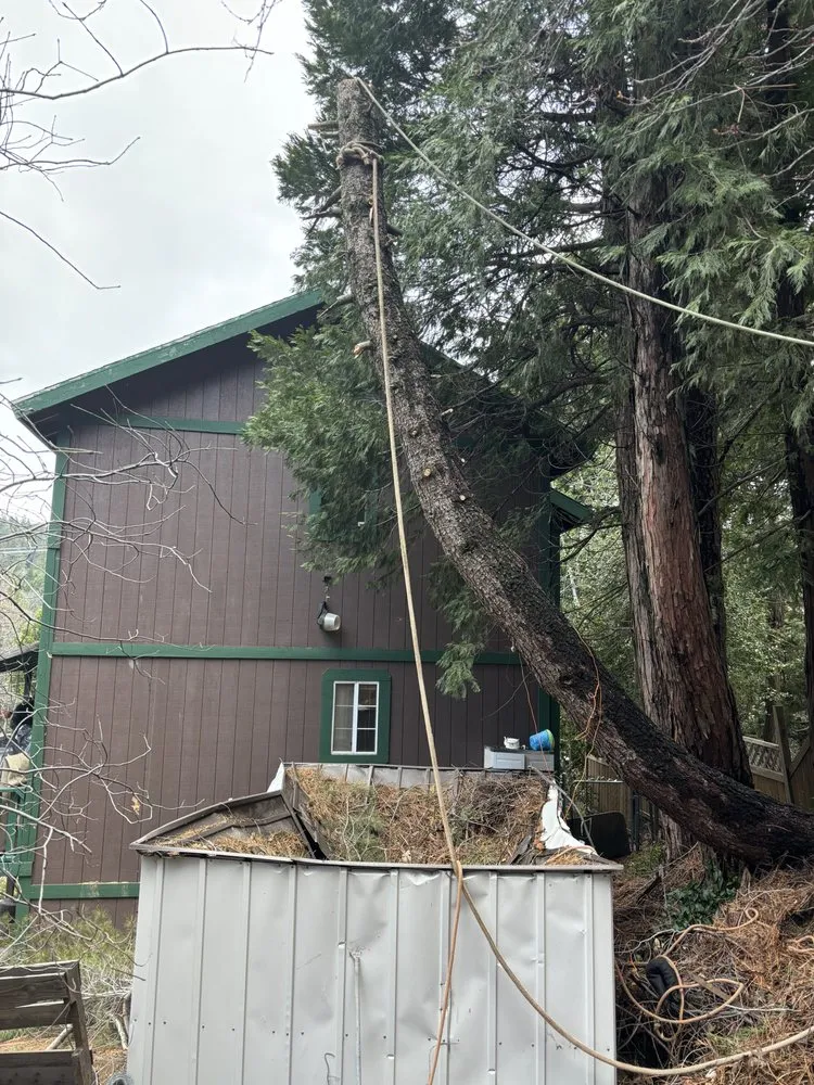 Trusted yard cleanup service for residential properties across Running Springs, CA - The Rose-Way