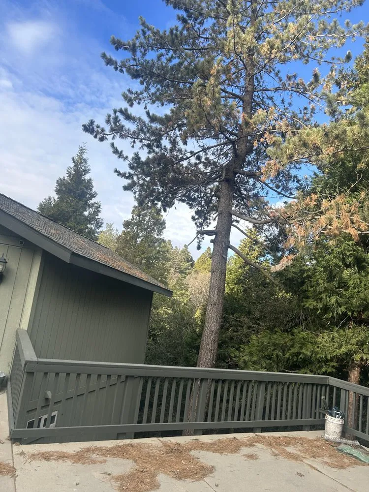 Reliable landscaping services in Running Springs, CA - The Rose-Way