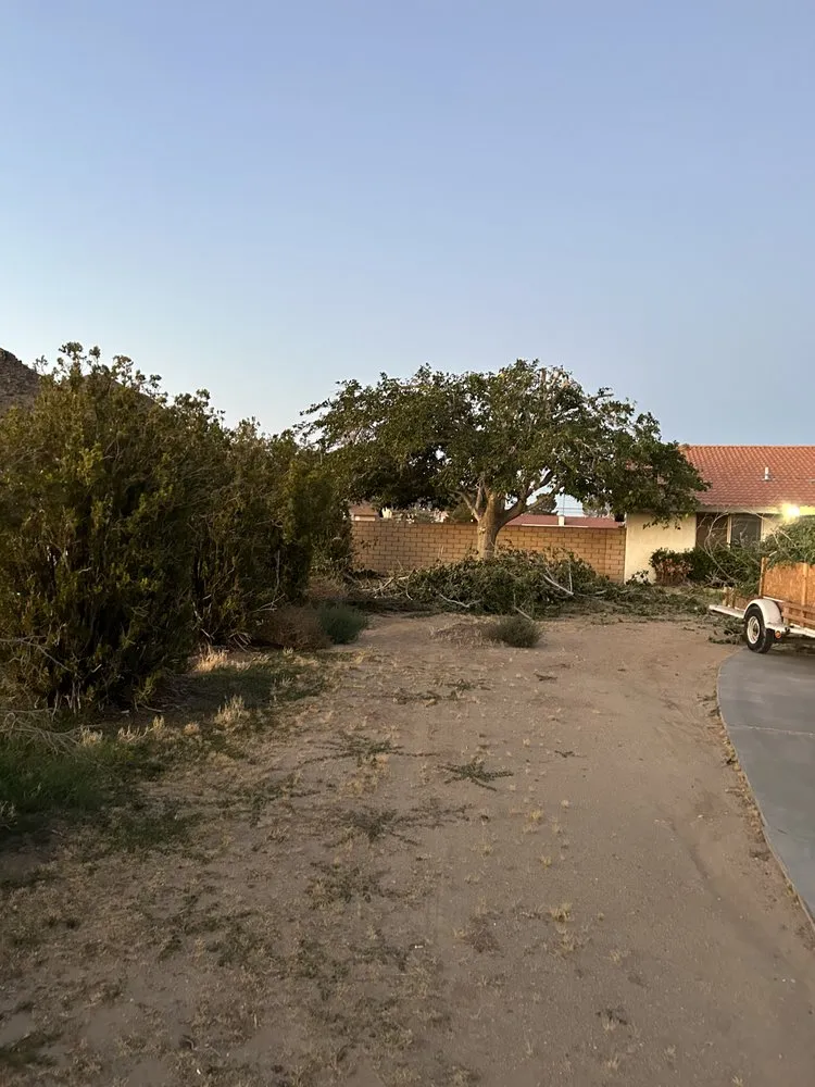 Professional landscape installation experts serving Running Springs, CA - The Rose-Way