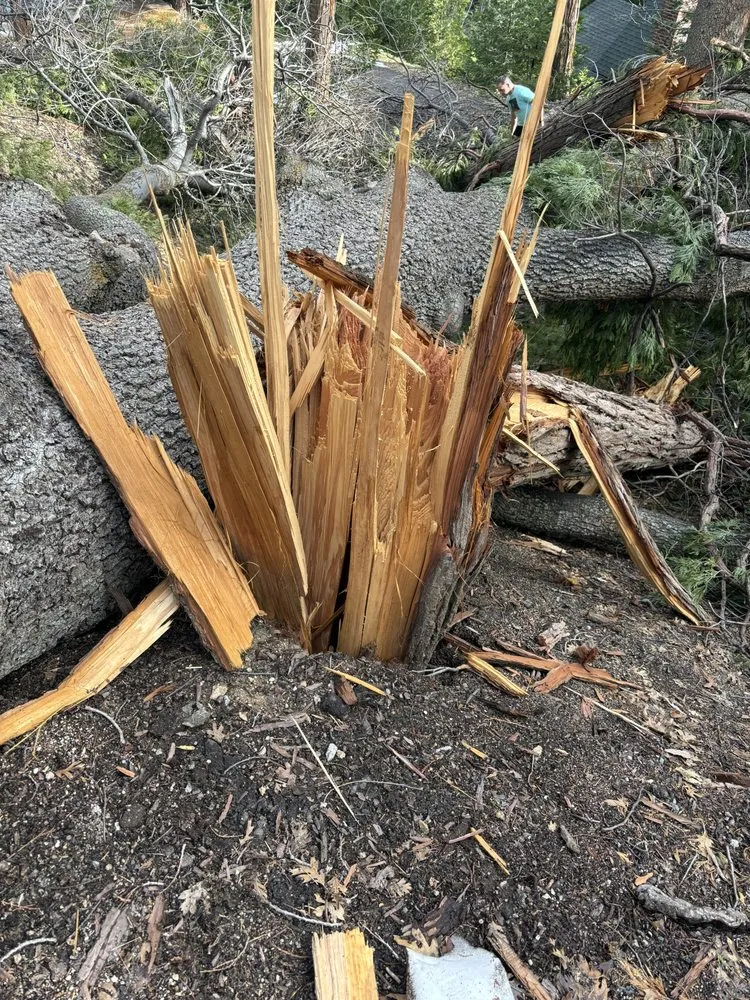 Custom garden landscaping near you across Running Springs, CA - The Rose-Way