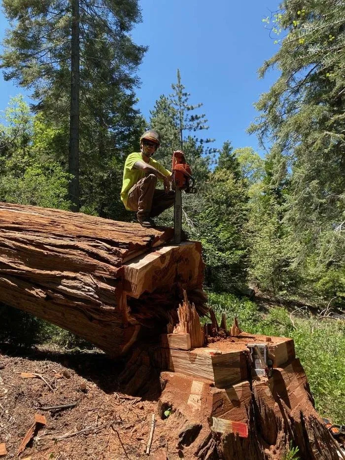 Professional yard cleanup service in Running Springs, CA - The Rose-Way