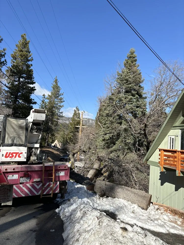 Top-rated lawn care service experts serving Running Springs, CA - The Rose-Way