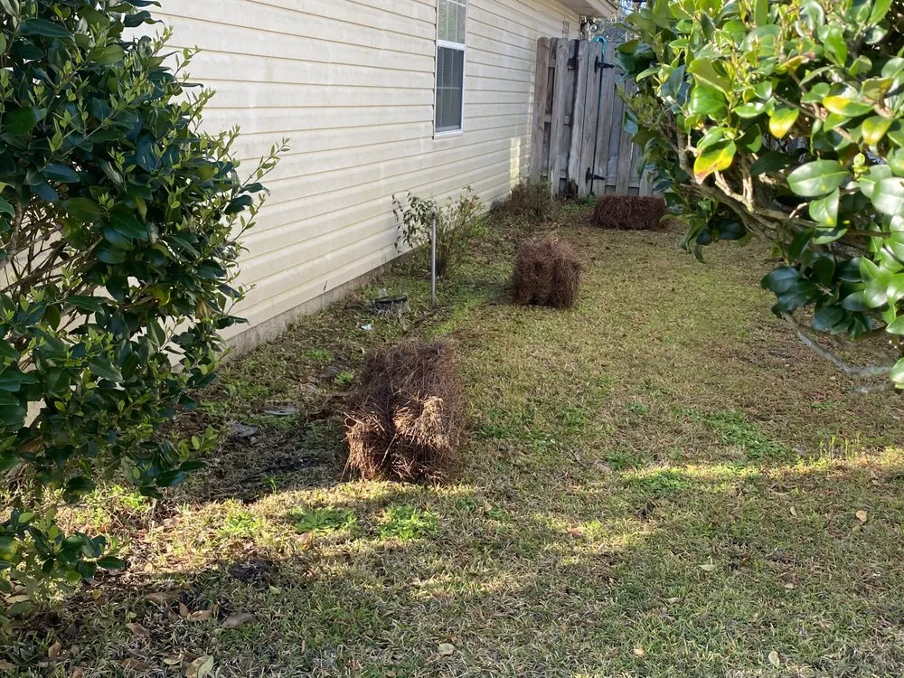 Affordable garden landscaping for beautiful yards across Savannah, GA - The Royal Treatment