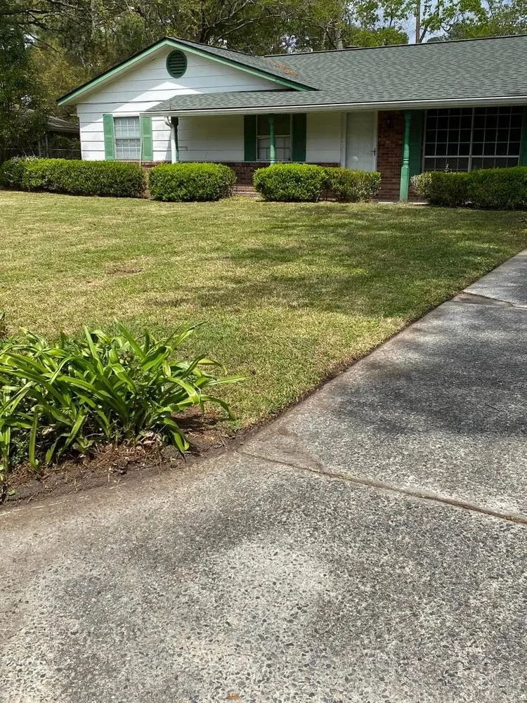 Professional landscaping services in Savannah, GA - The Royal Treatment