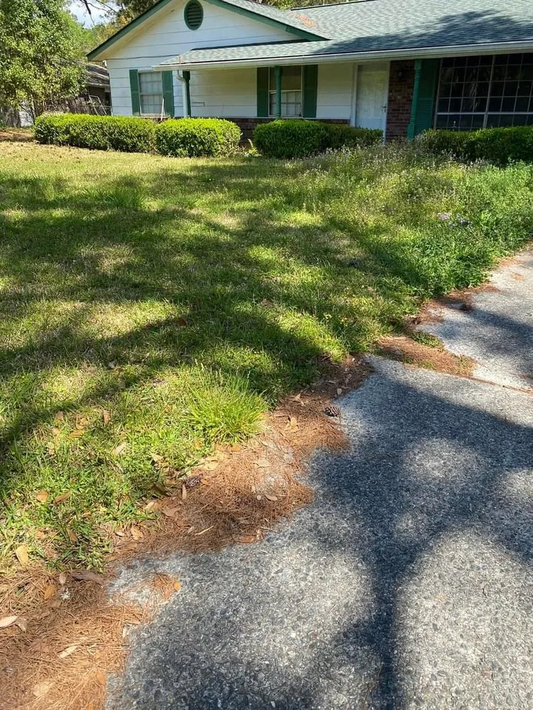 Expert landscaping services in Savannah, GA by The Royal Treatment