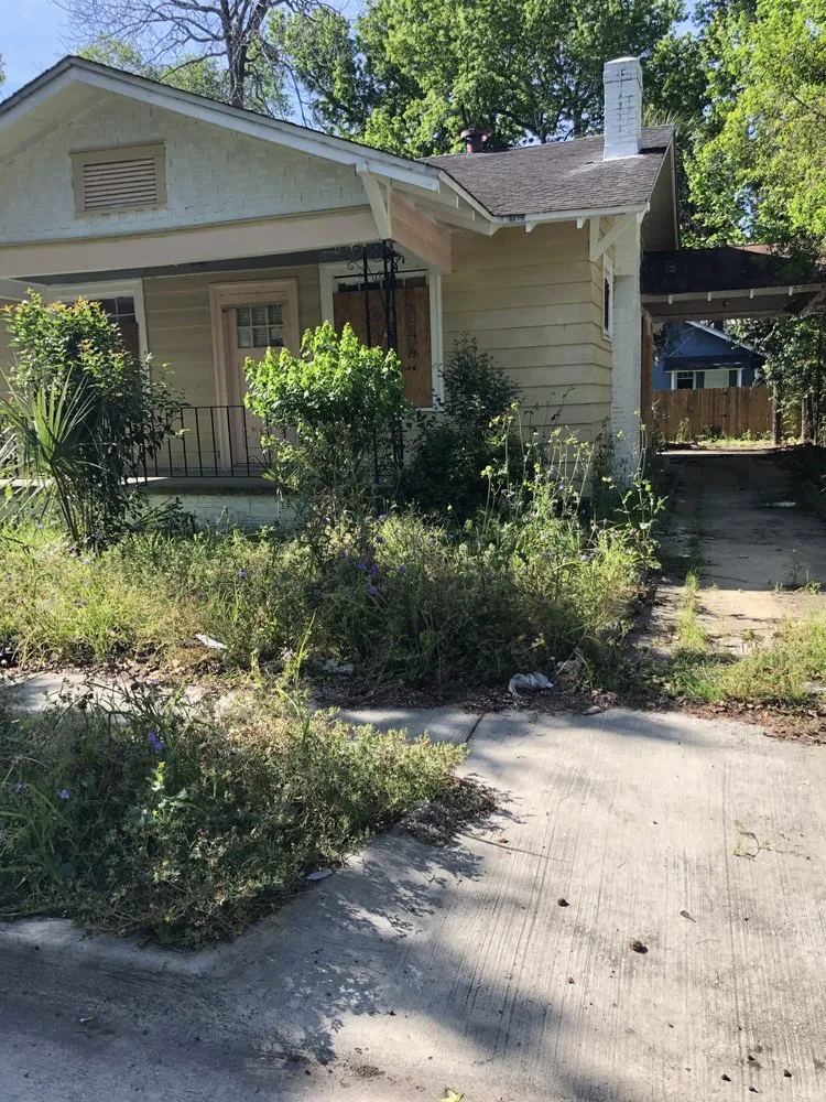 Top-rated yard cleanup service in Savannah, GA - The Royal Treatment