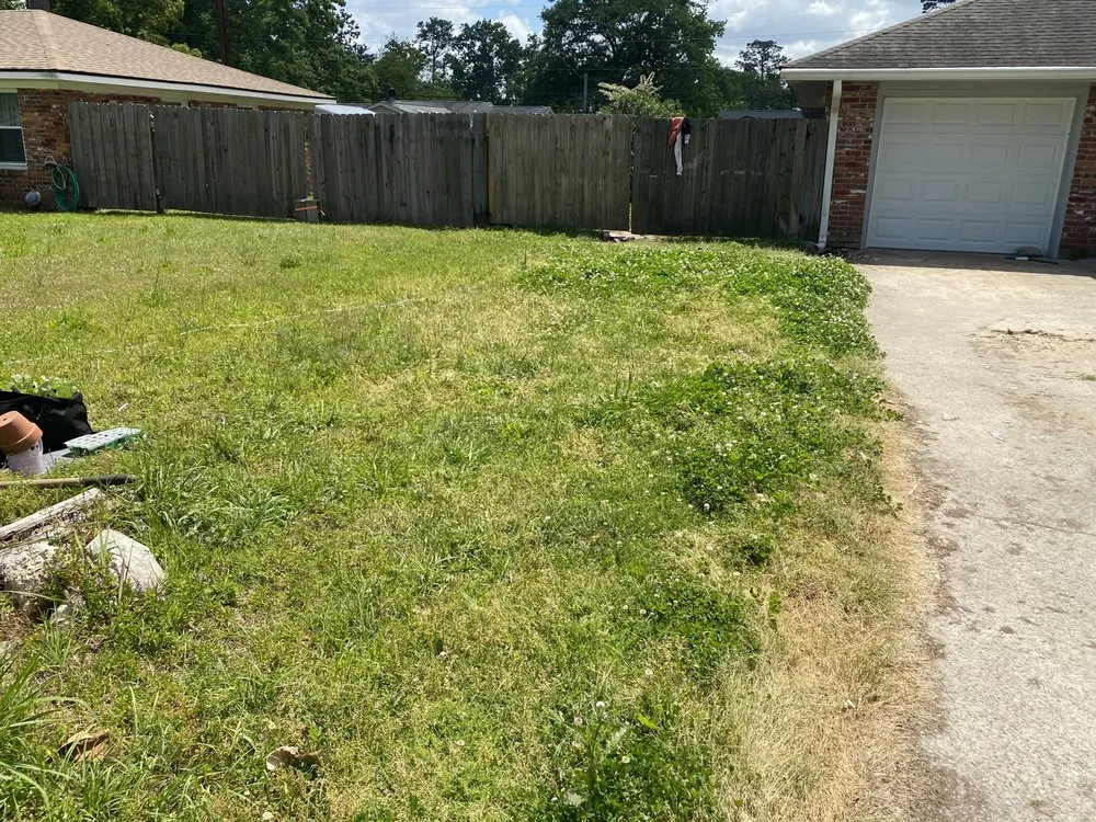 Affordable landscape installation in Savannah, GA - The Royal Treatment