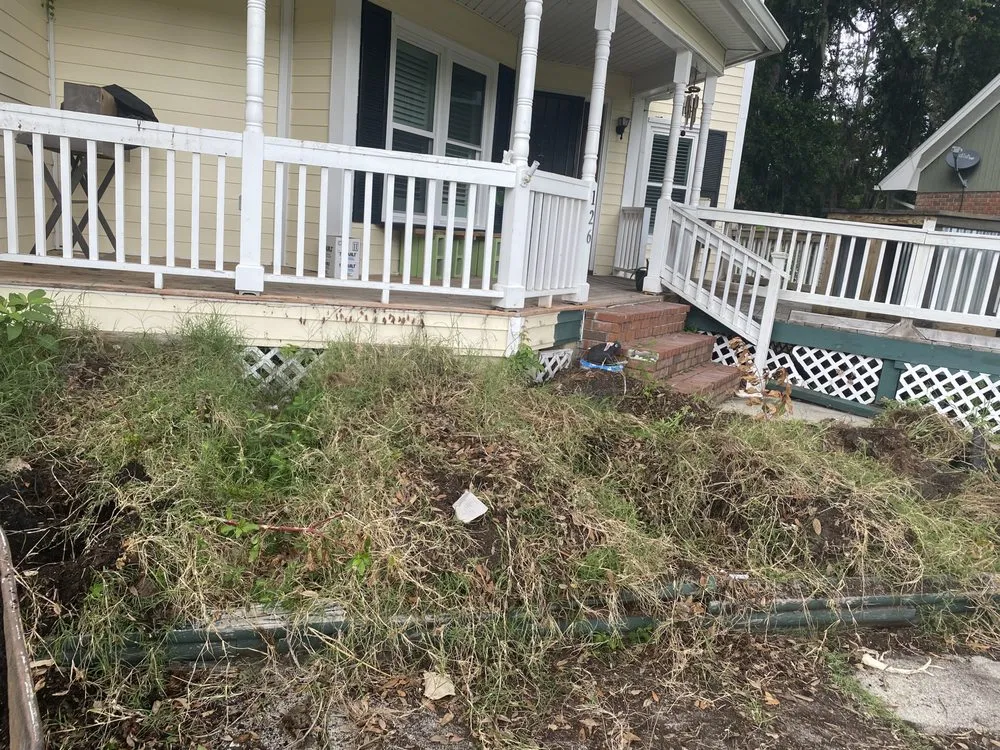 Affordable landscape design in Savannah, GA - The Royal Treatment