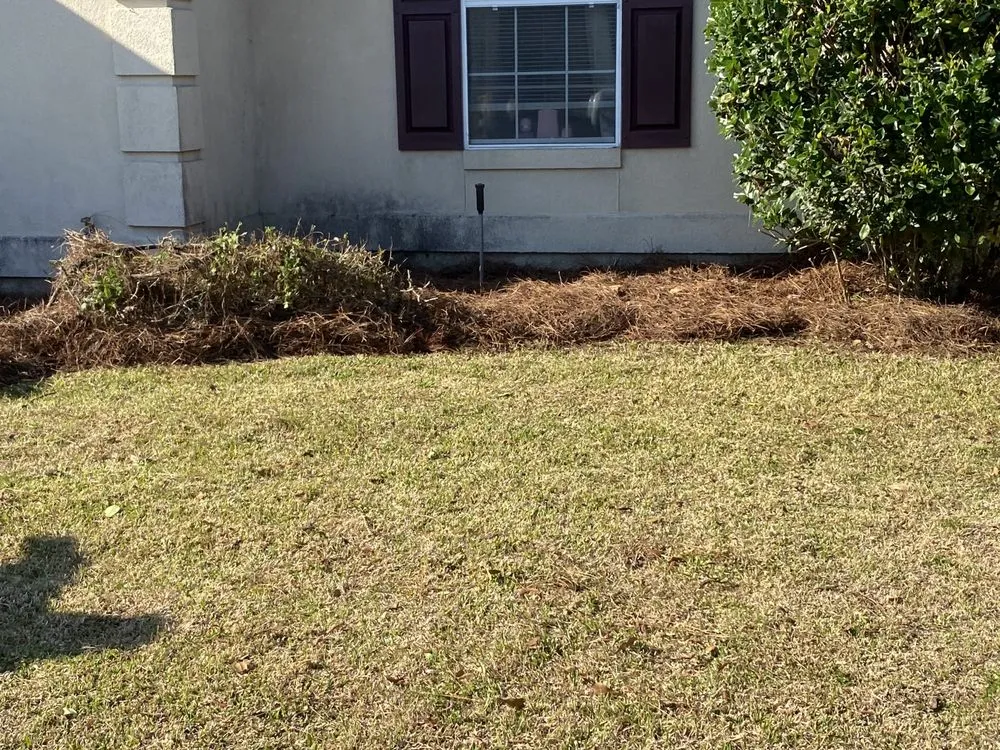 Local outdoor landscaping for residential properties in Savannah, GA by The Royal Treatment