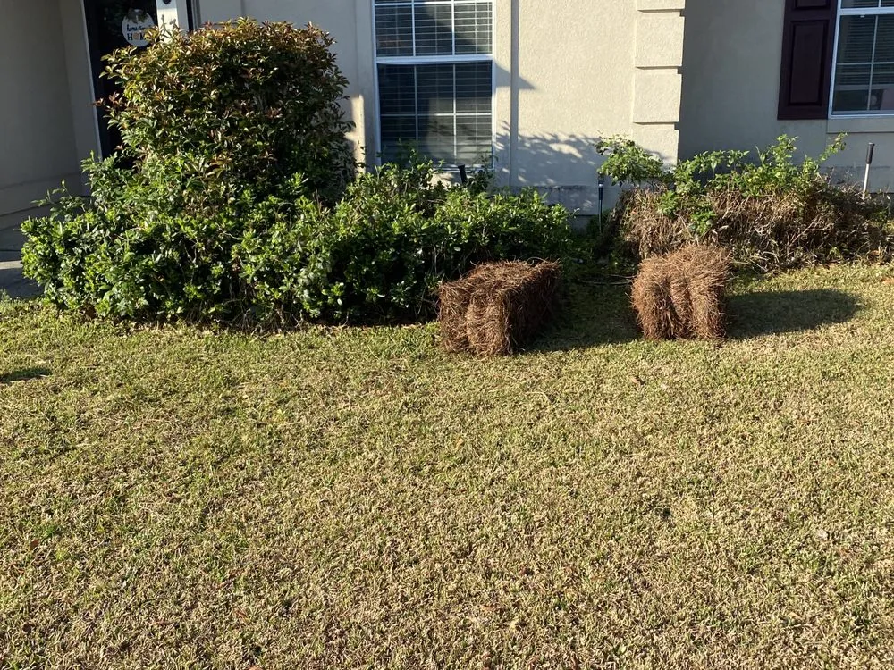 Reliable residential landscaping near you in Savannah, GA by The Royal Treatment