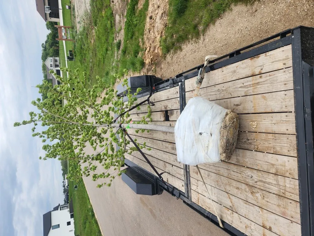 Trusted residential landscaping for year-round maintenance in Spring Valley, MN by The Rustic Rose Lawn and Landscape