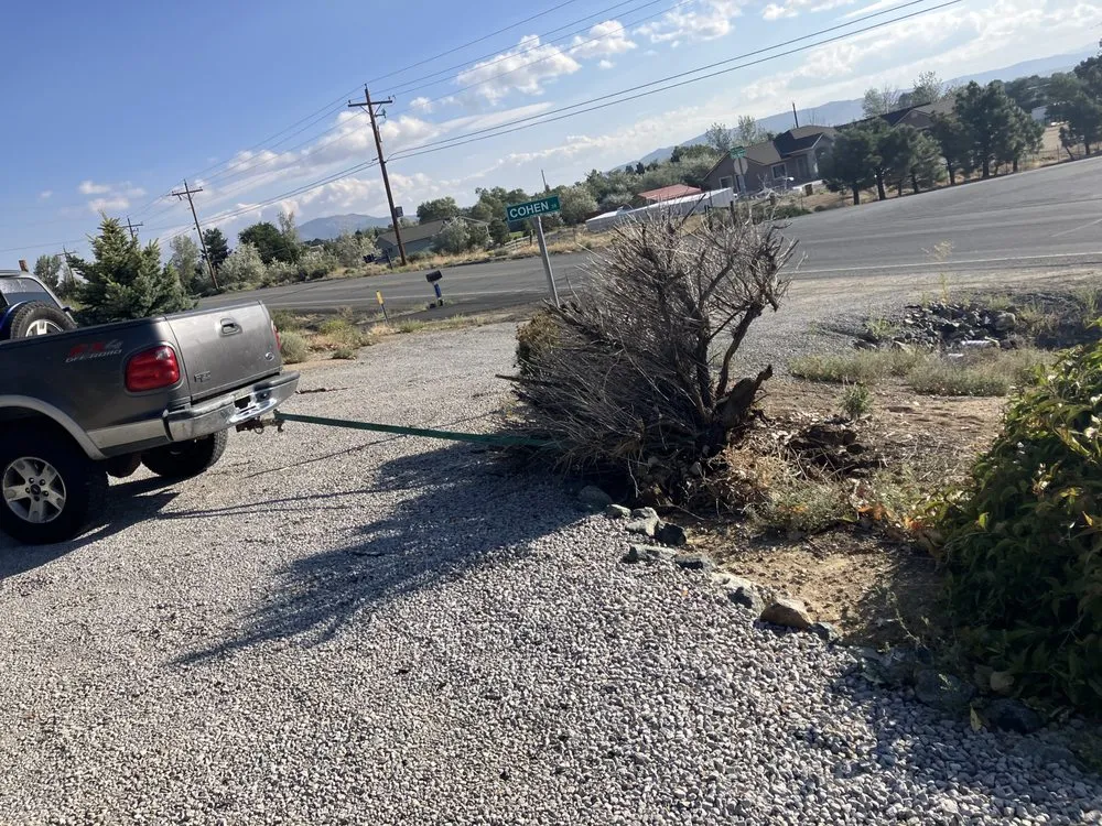 Custom yard cleanup service for beautiful yards across Reno, NV - The Sadler Way