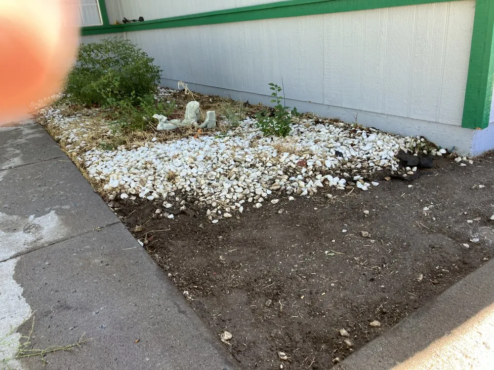 Top-rated lawn care service for beautiful yards in Reno, NV by The Sadler Way