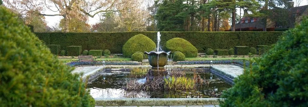 Top-rated yard cleanup service in Waukegan, IL by The Saer Company