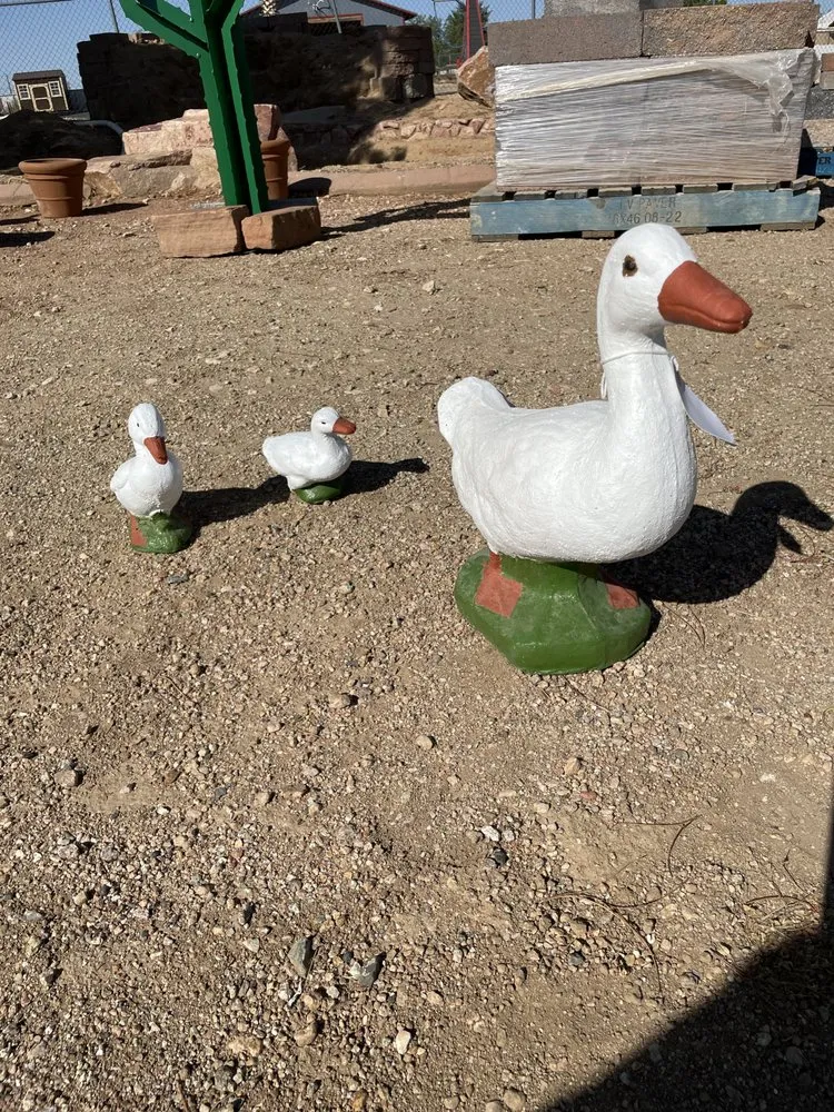 Professional lawn care service for residential properties in Kingman, AZ by The Sandman Landscaping