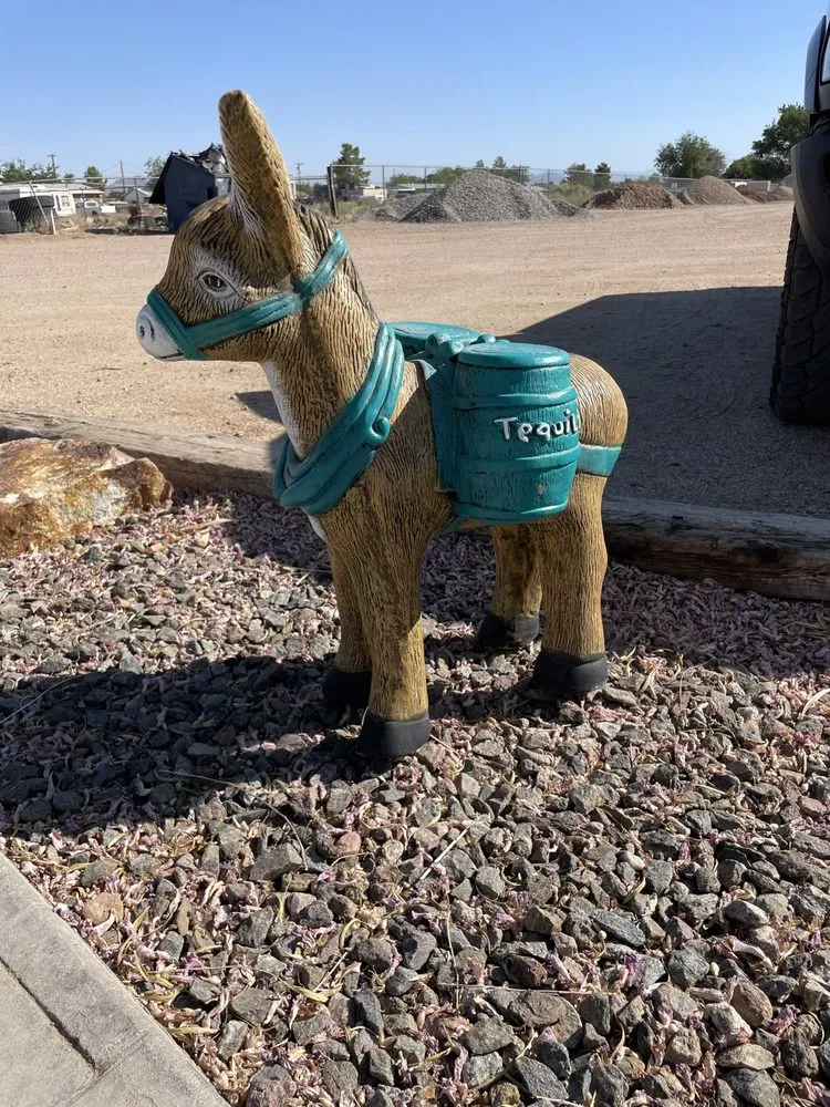 Affordable lawn mowing service in Kingman, AZ by The Sandman Landscaping