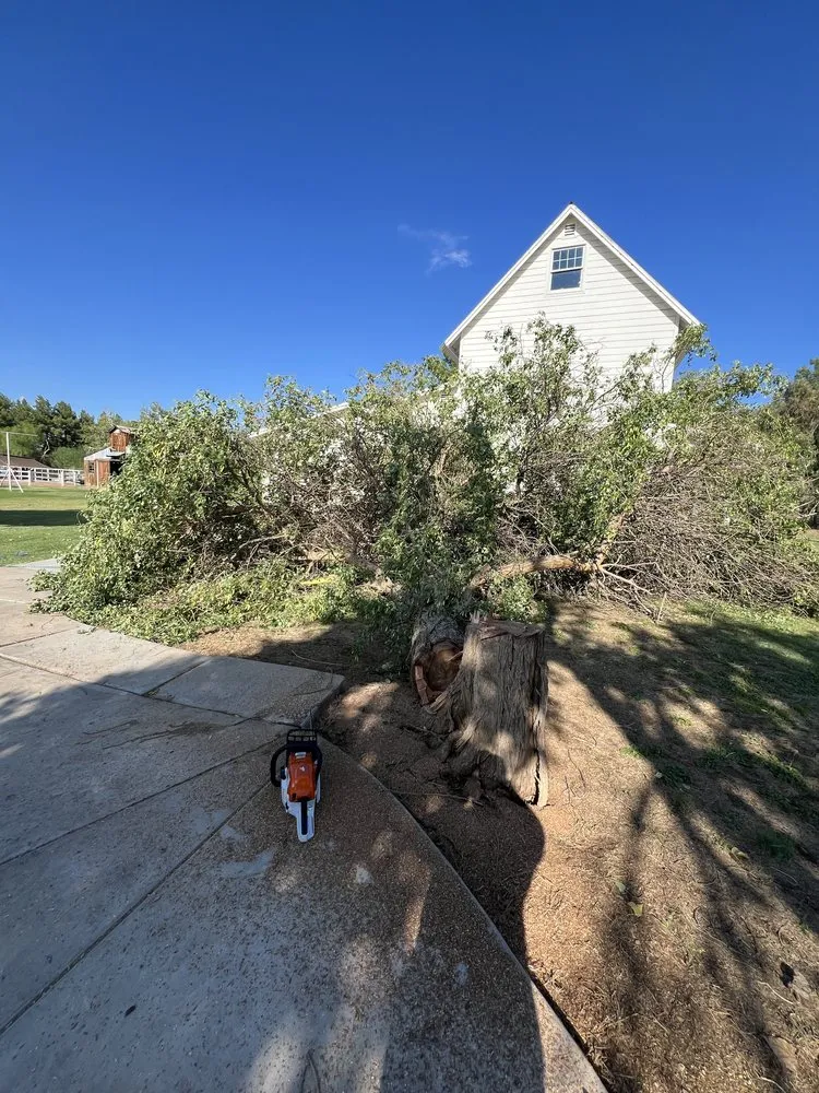 Local lawn mowing service in Mesa, AZ by The Saw Guys
