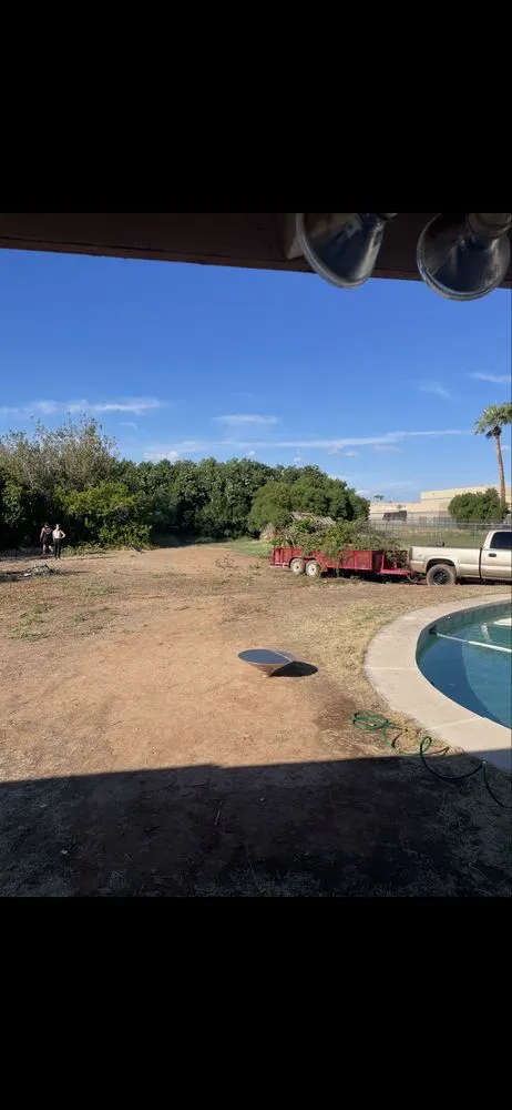 Trusted yard cleanup service near you across Mesa, AZ - The Saw Guys